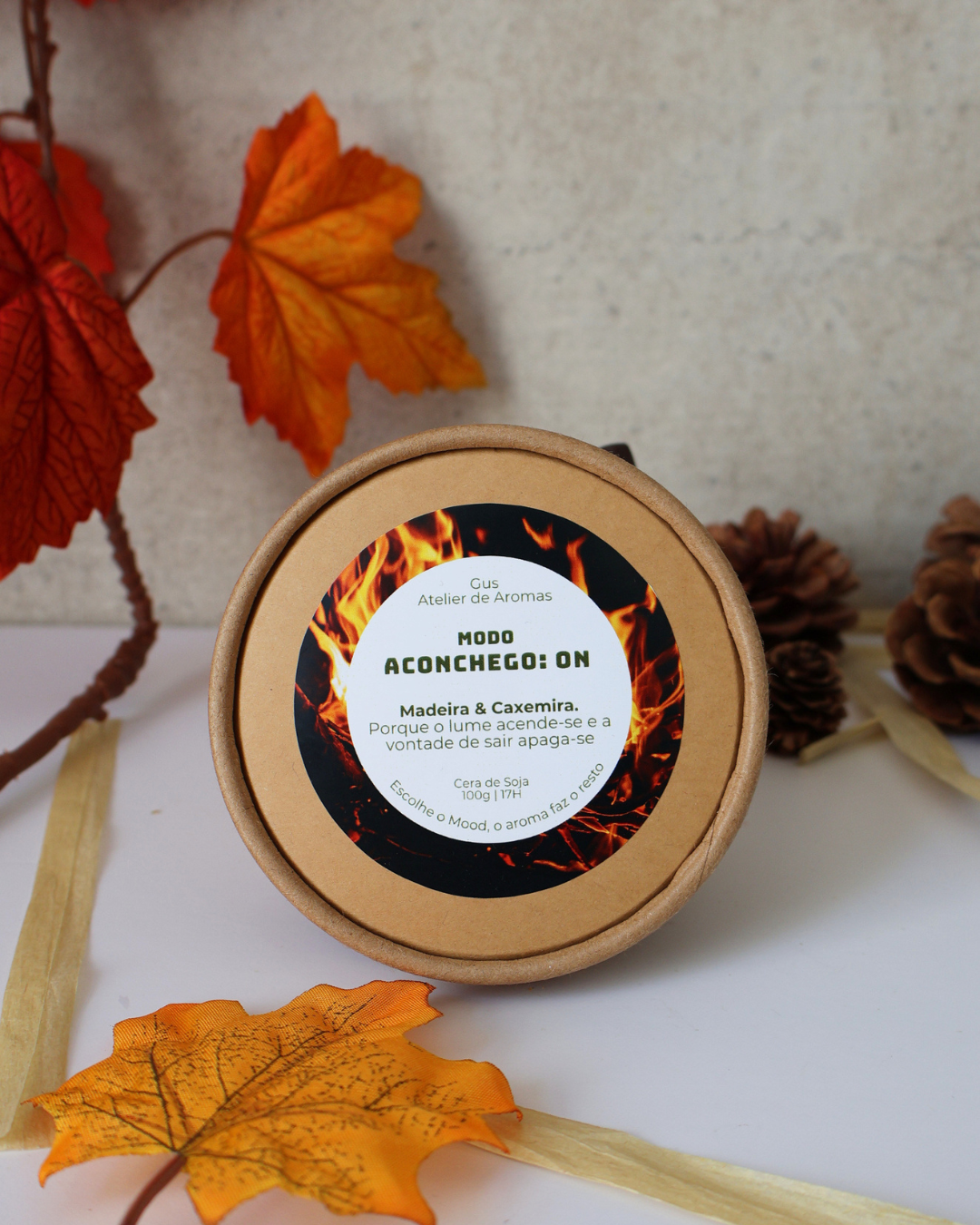 Wax Melts Modo Aconchego ON Madeira & Caxemira