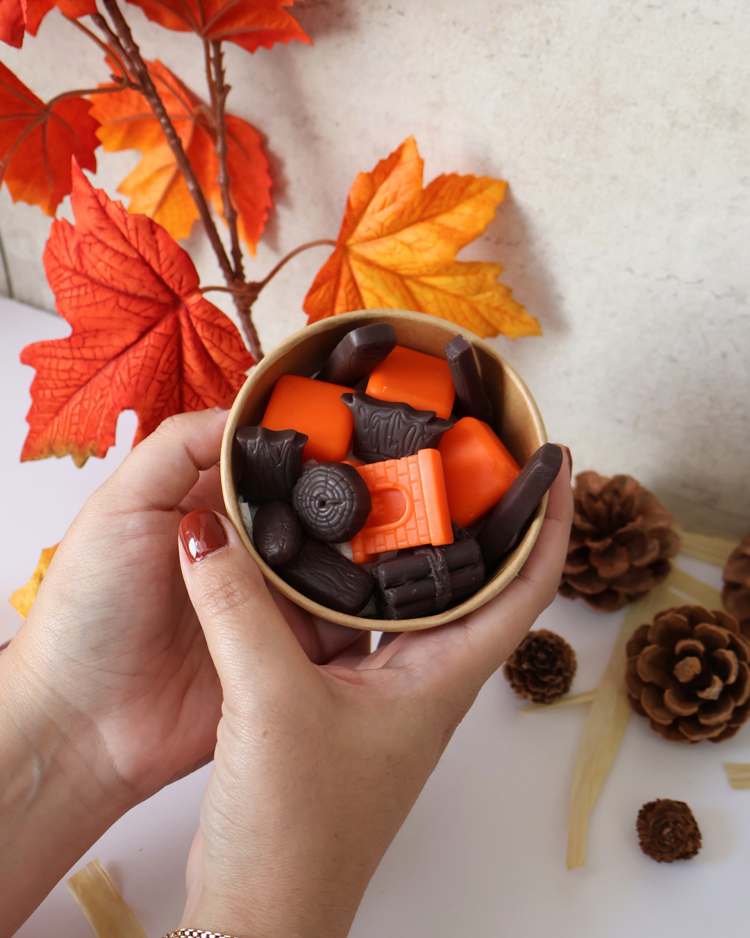 Wax Melts Modo Aconchego ON Madeira & Caxemira