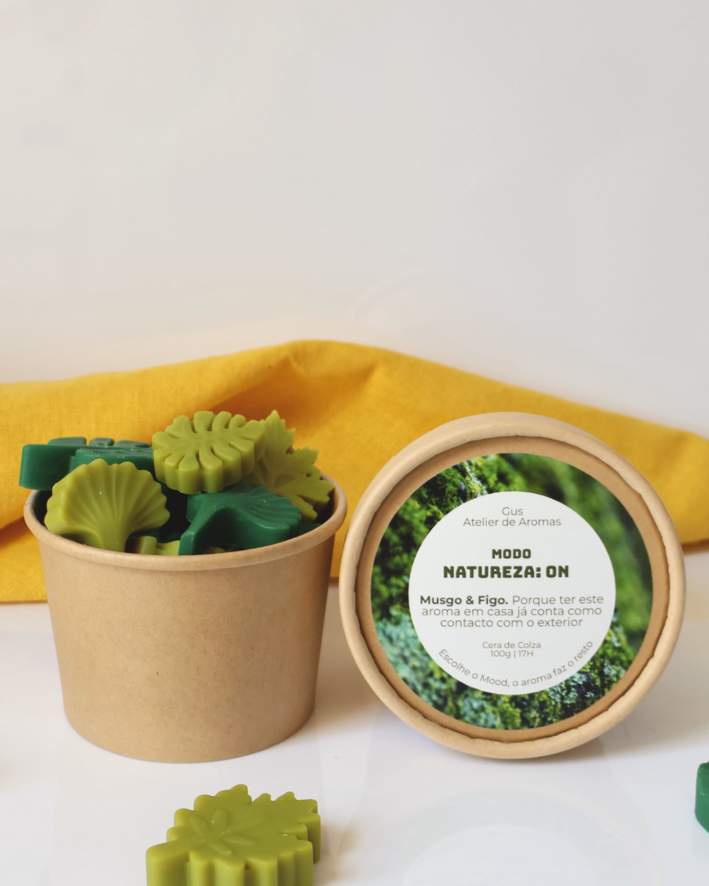 Wax Melts Modo Natureza Musgo e Figo