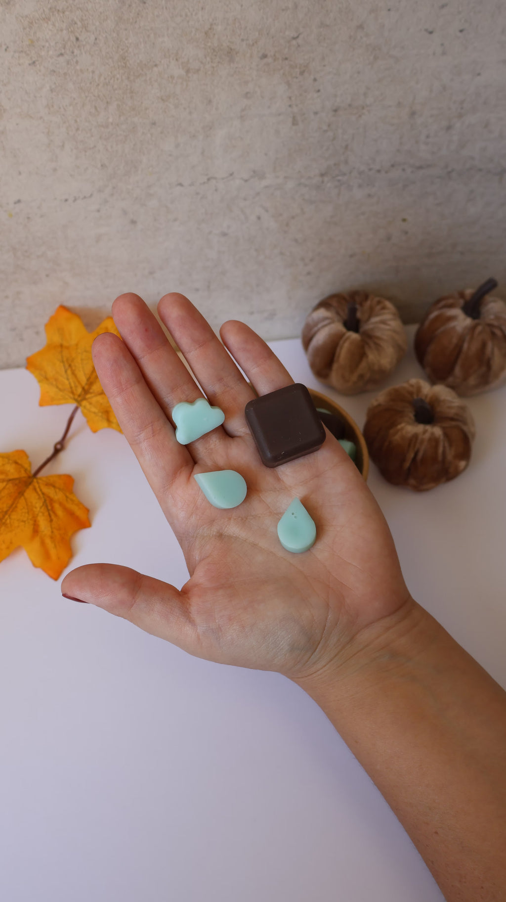 Wax Melts Modo Notificado ON Terra Húmida