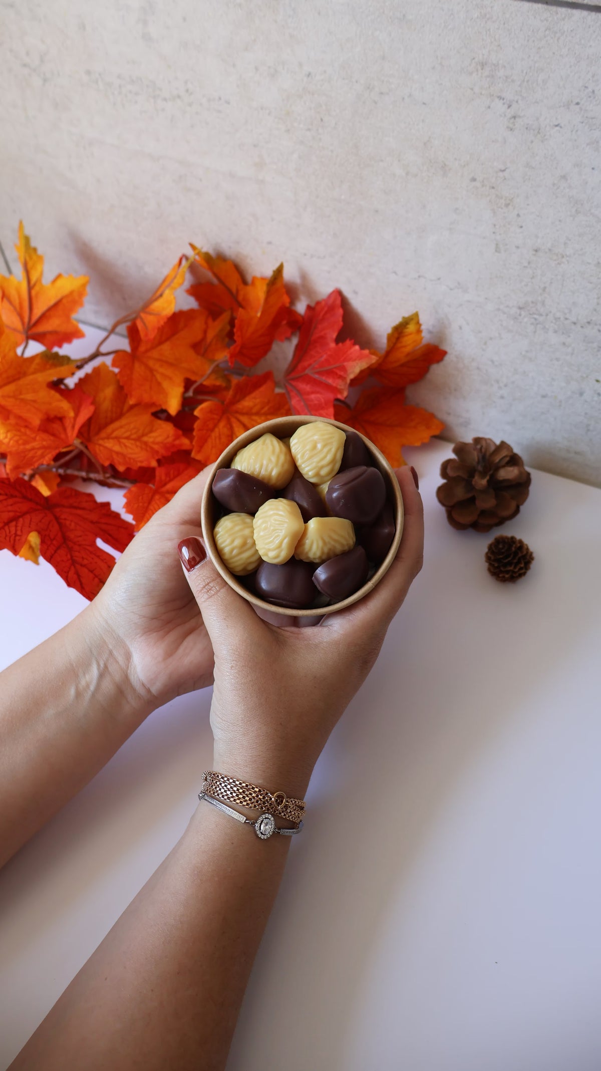 Wax Melts Modo Desviado ON Castanhas Assadas