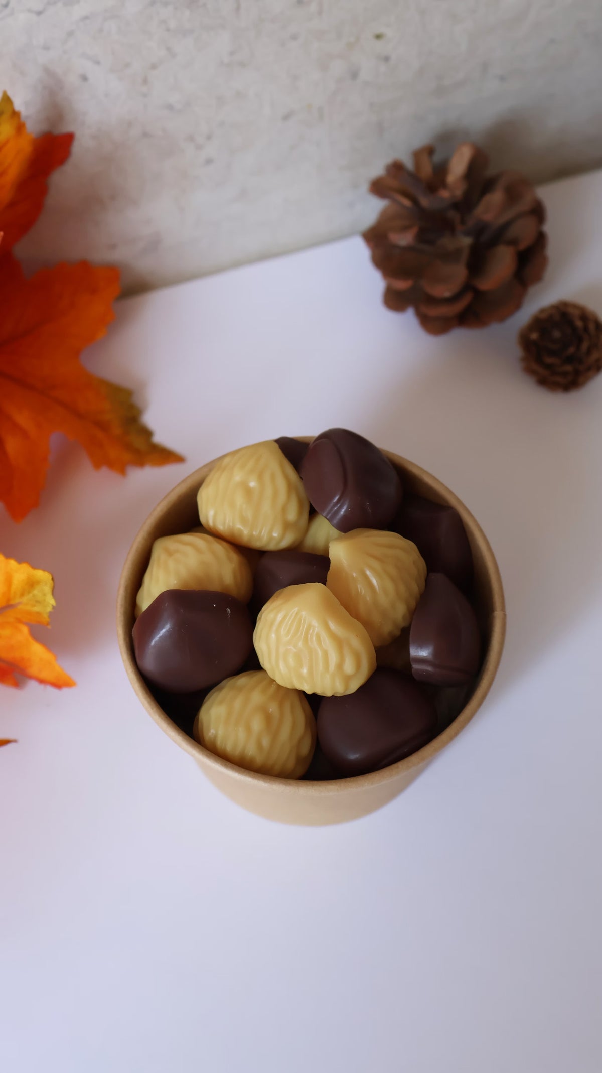 Wax Melts Modo Desviado ON Castanhas Assadas