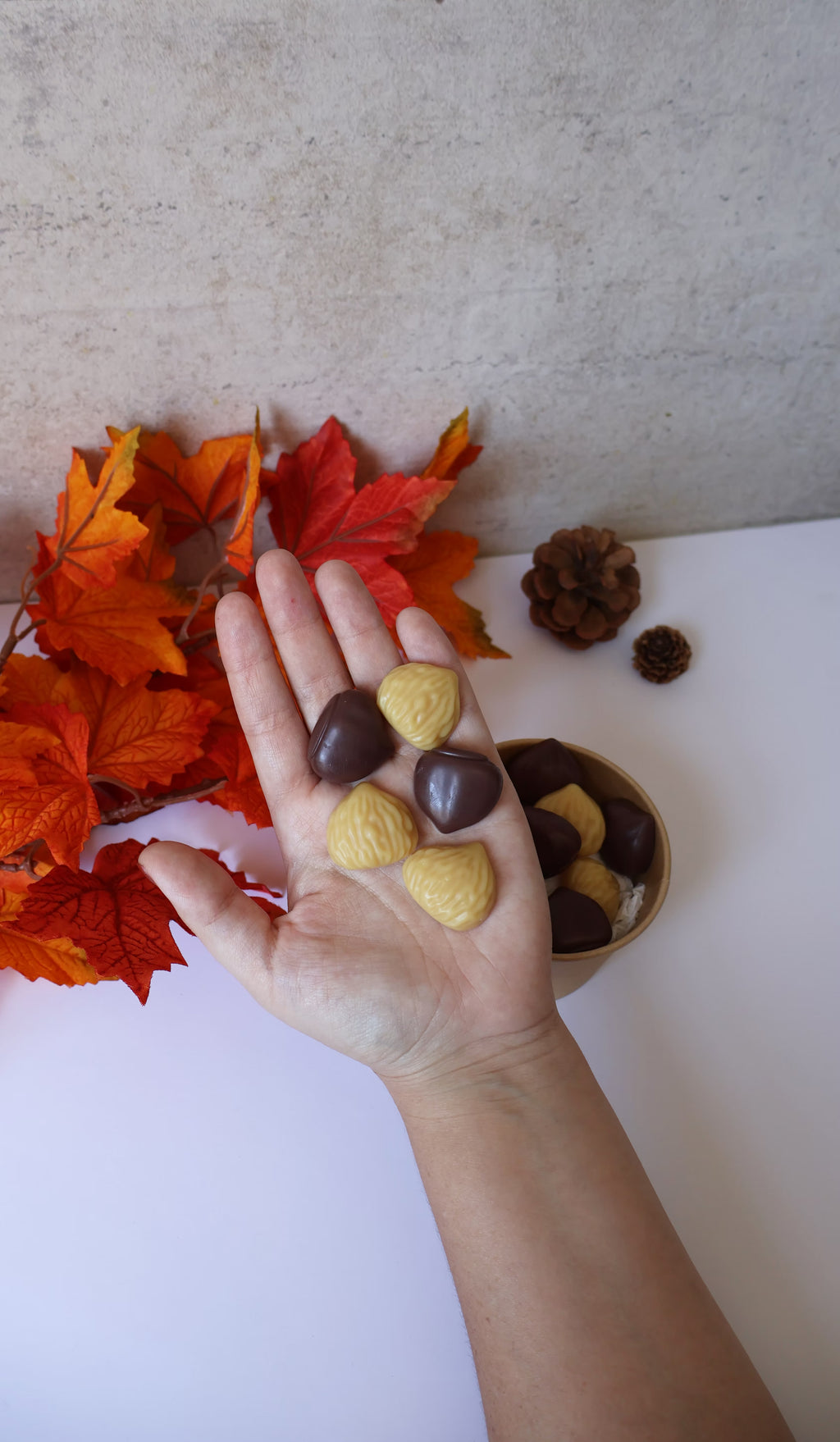 Wax Melts Modo Desviado ON Castanhas Assadas