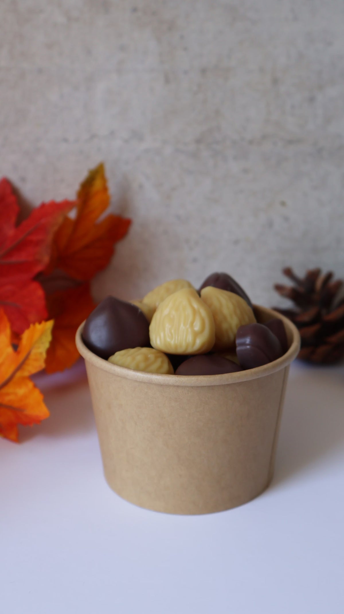 Wax Melts Modo Desviado ON Castanhas Assadas